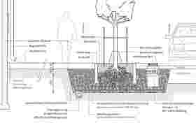 Anpflanzen von Straßenbäumen