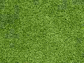 Anpflanzen von Rasenflächen