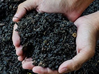 Nachhaltige Anwendungen für eine ökologische Landwirtschaft