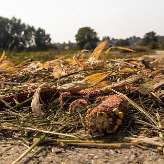 Ernte- und Agrarreste