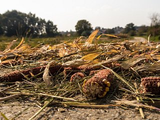 Ernte- und Agrarreste